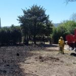 Cosquín: incendio forestal en zona oeste